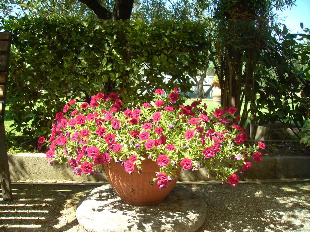 Tenuta Fagnani Lucca Ruang foto