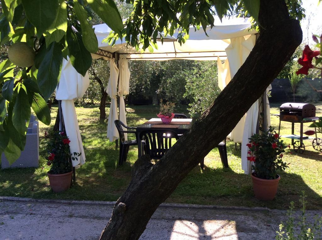 Tenuta Fagnani Lucca Bagian luar foto