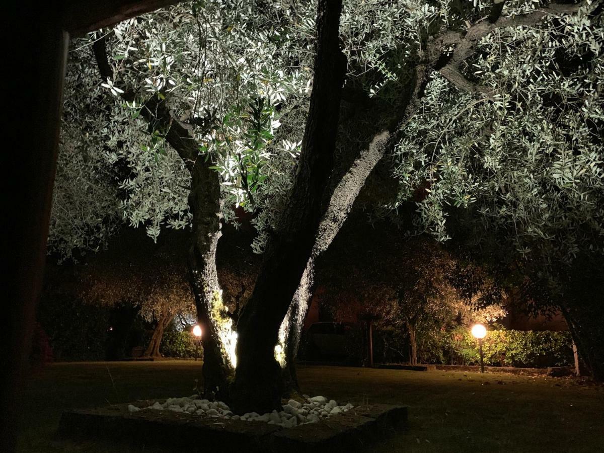 Tenuta Fagnani Lucca Bagian luar foto
